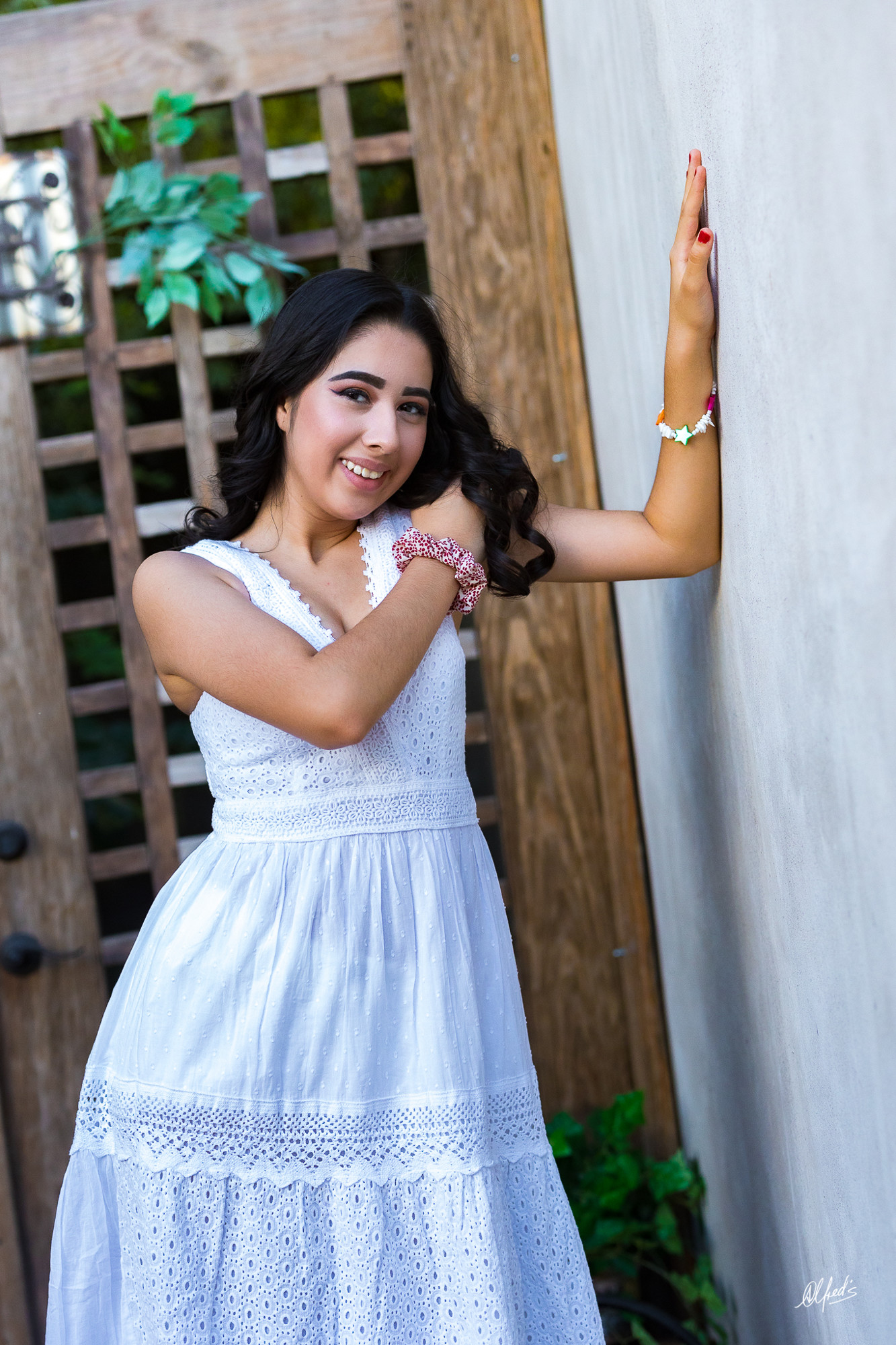 Alfred&#39;s PhotoLive - 3343