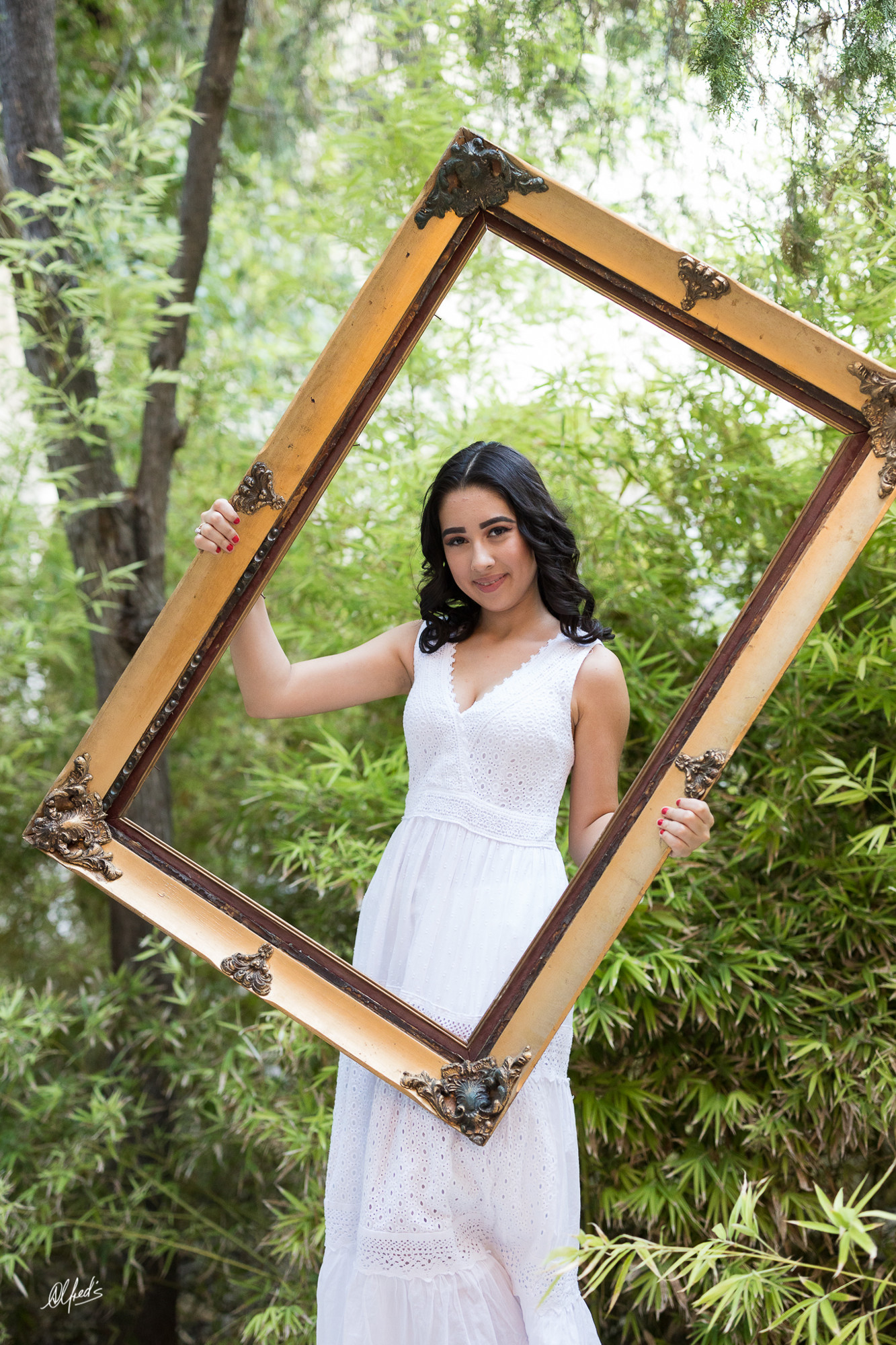 Alfred&#39;s PhotoLive - 3632