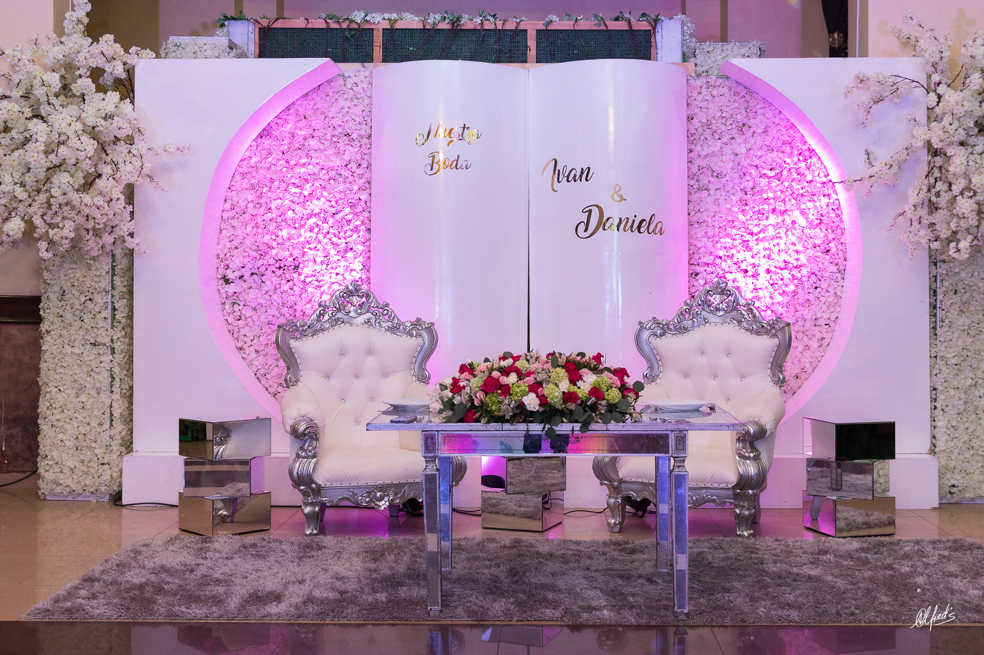 Alfred&#39;s PhotoLive - 0227