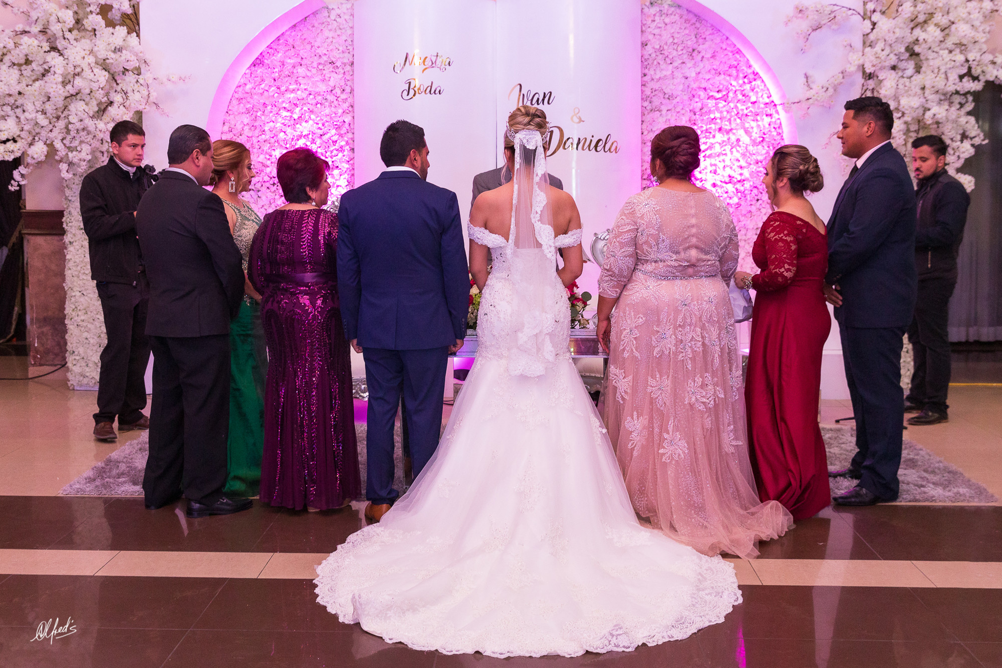 Alfred&#39;s PhotoLive - 0326