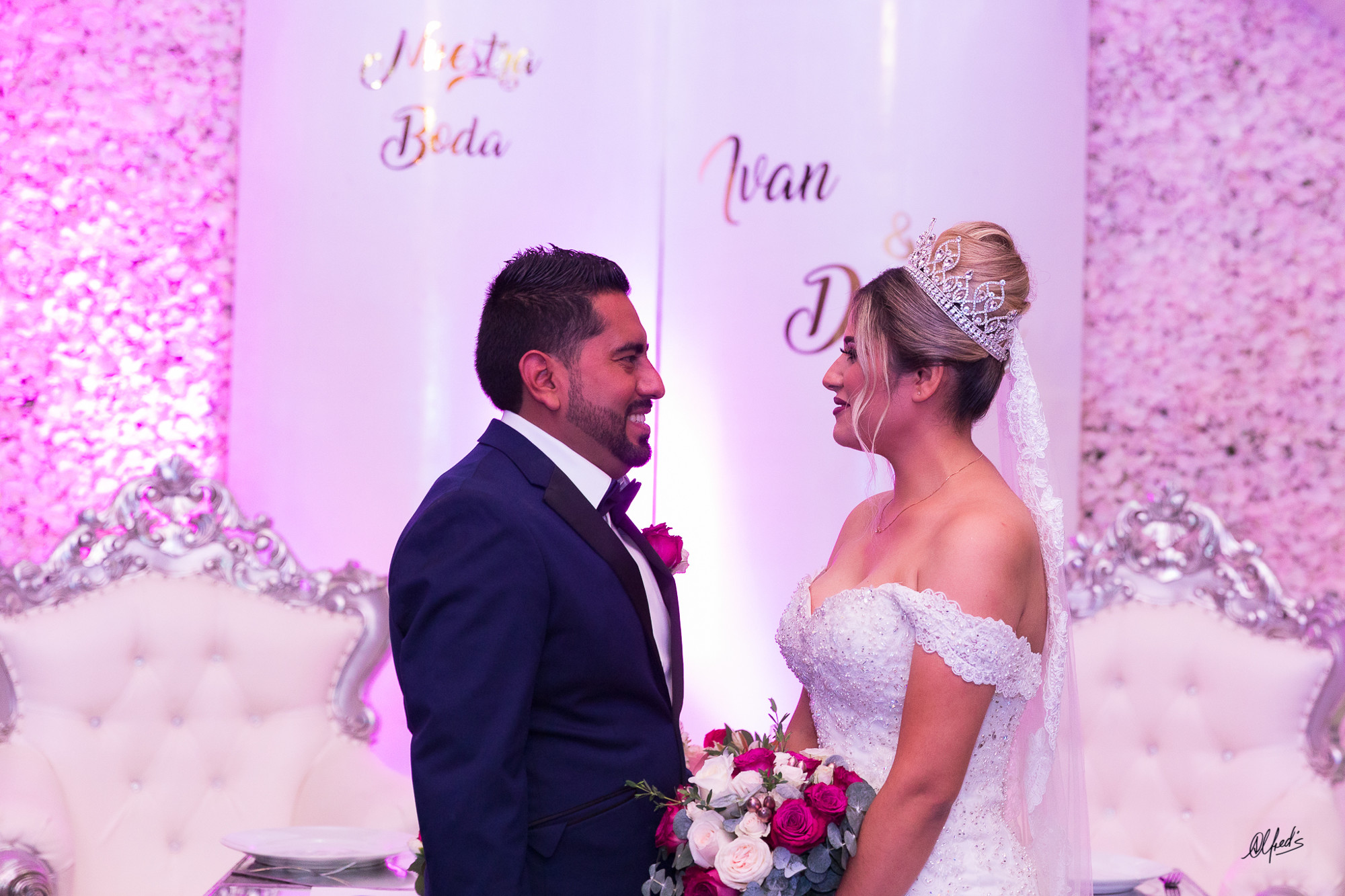 Alfred&#39;s PhotoLive - 0486