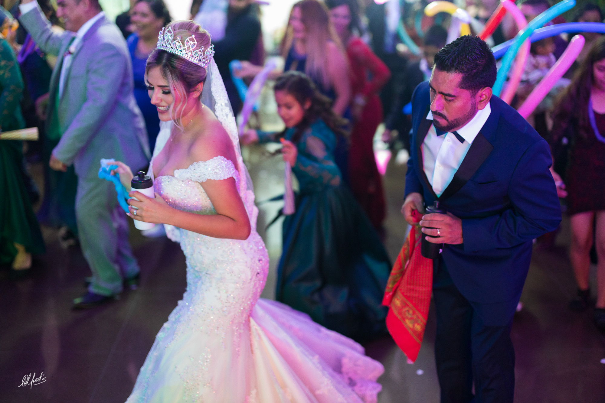 Alfred&#39;s PhotoLive - 1686