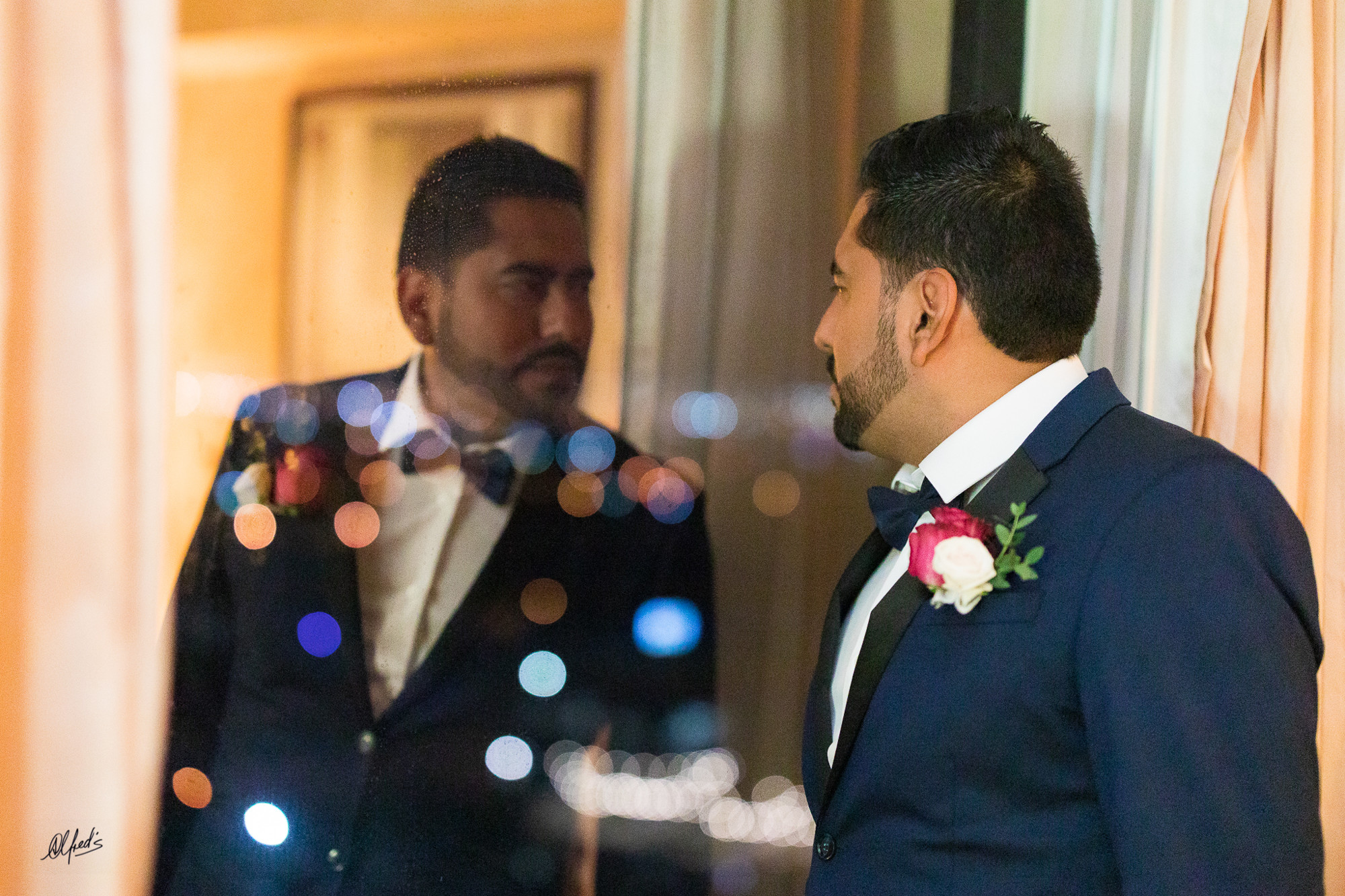 Alfred&#39;s PhotoLive - 9964