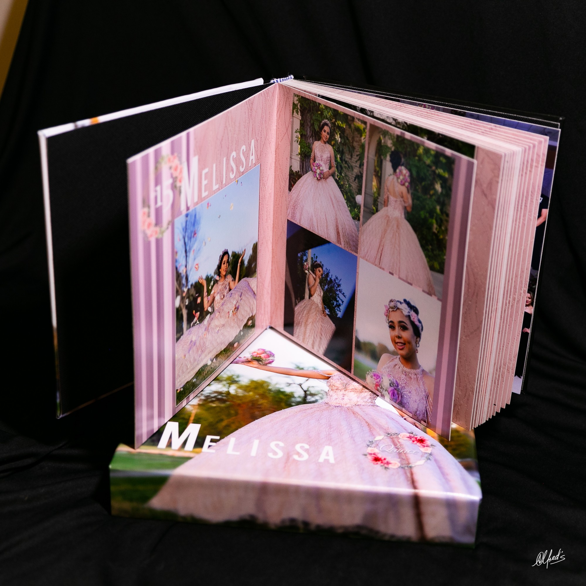 Alfred&#39;s PhotoLive - 7338