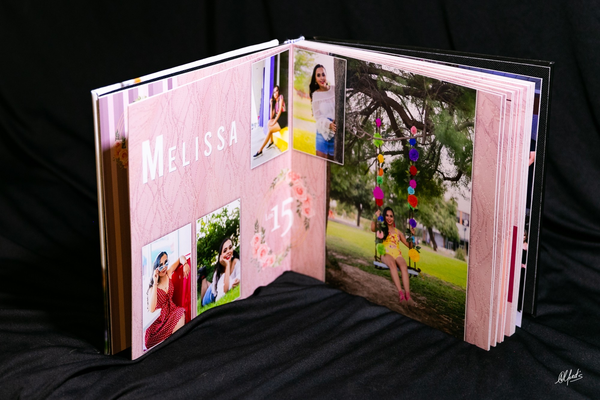 Alfred&#39;s PhotoLive - 7342