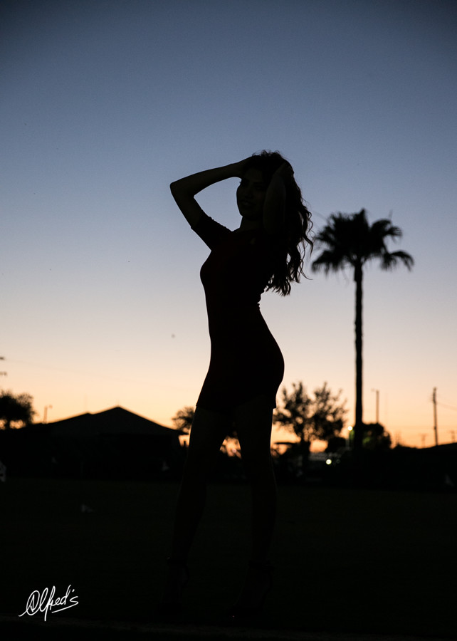 Alfred&#39;s PhotoLive - 2387