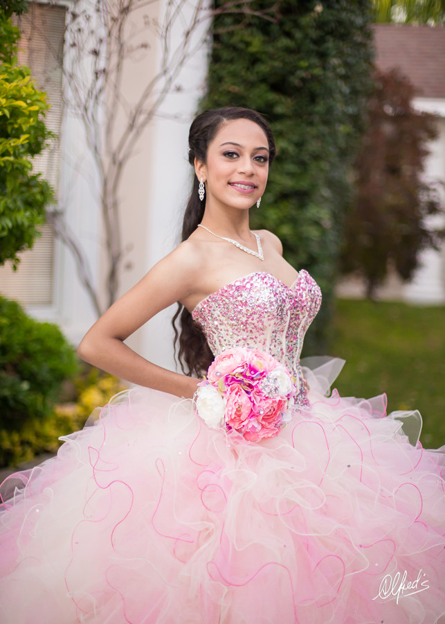 Alfred&#39;s PhotoLive - 4910