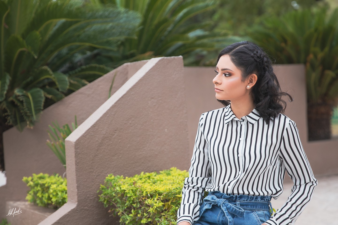 Alfred&#39;s PhotoLive - 1395-2