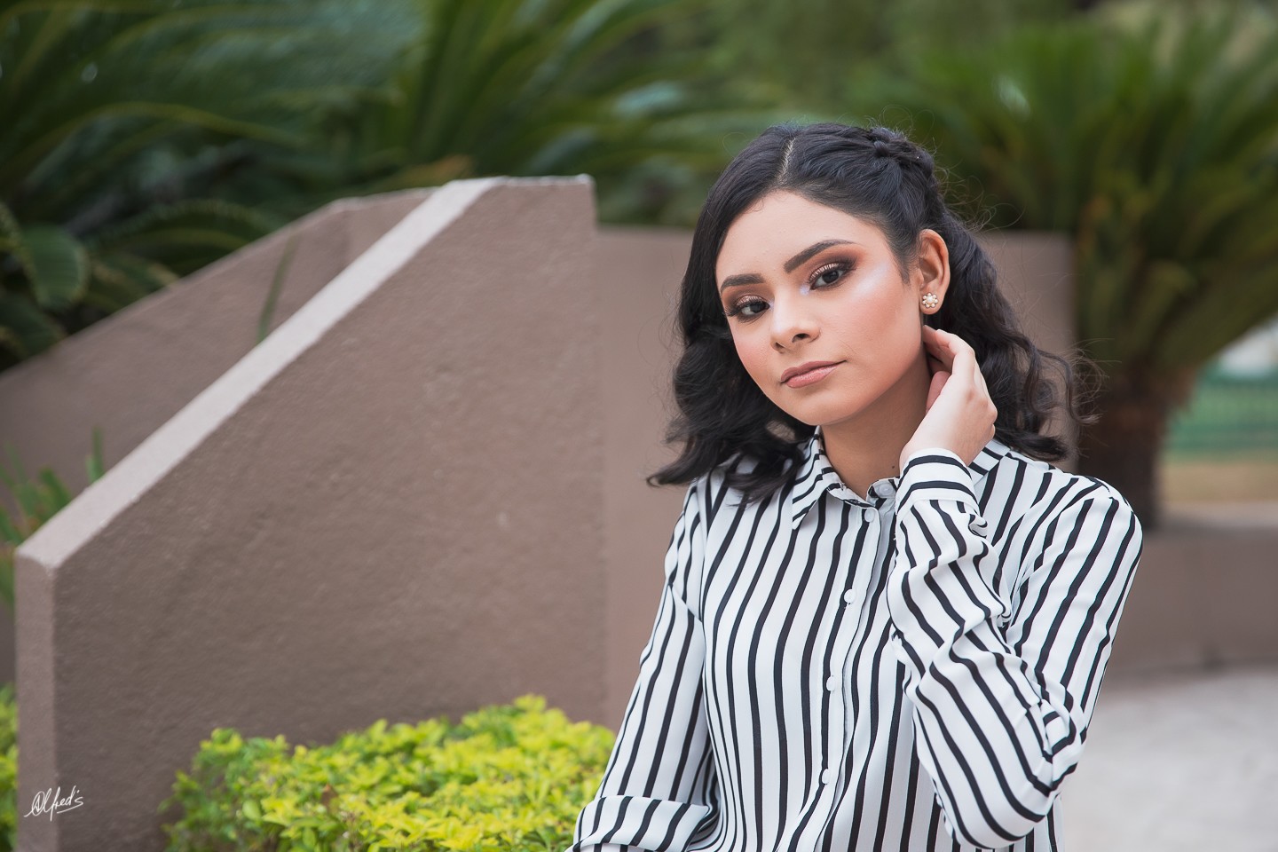 Alfred&#39;s PhotoLive - 1419-2