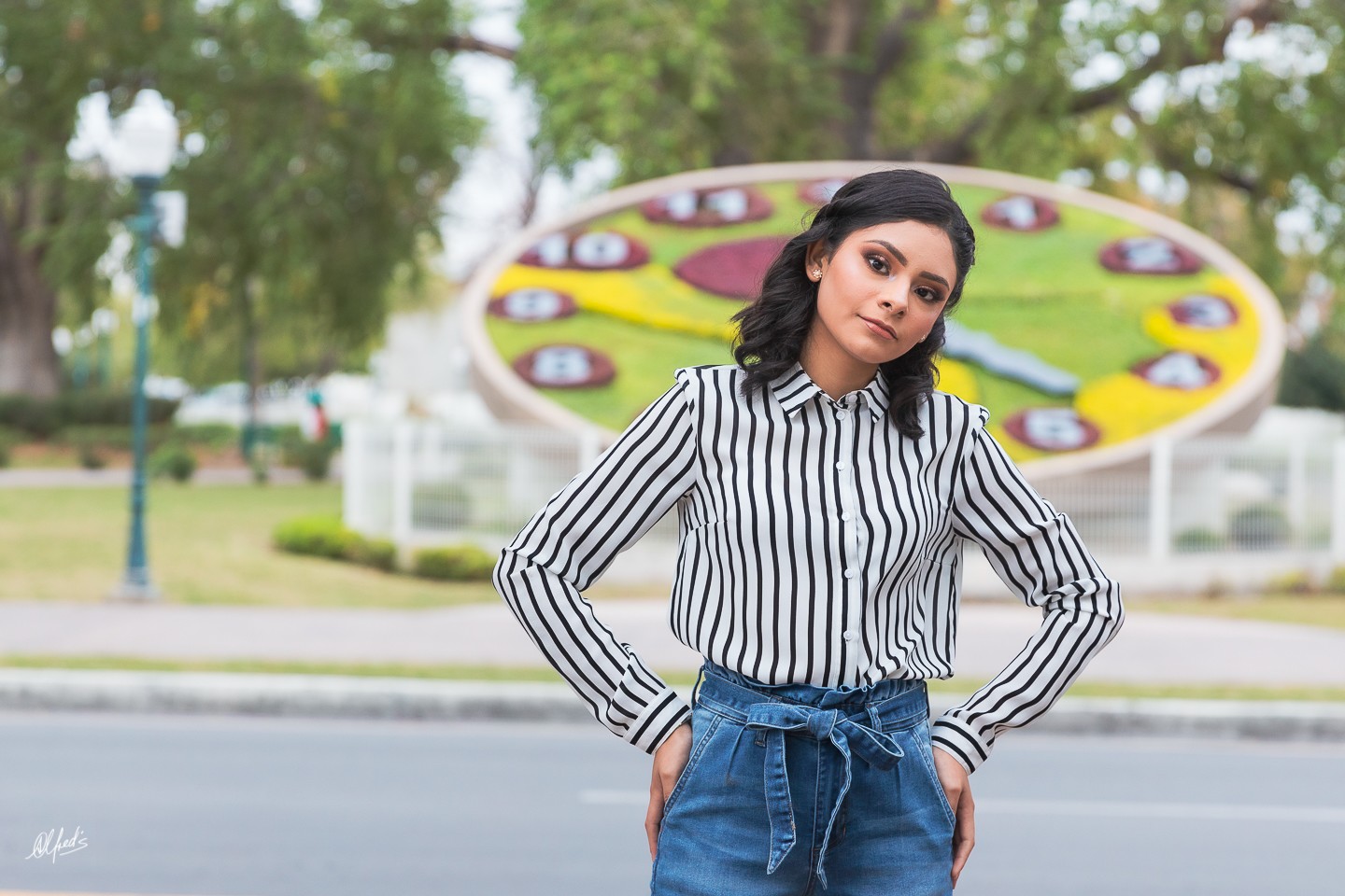 Alfred&#39;s PhotoLive - 1884-2