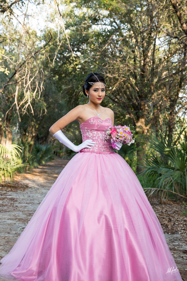 Alfred&#39;s PhotoLive - 2075