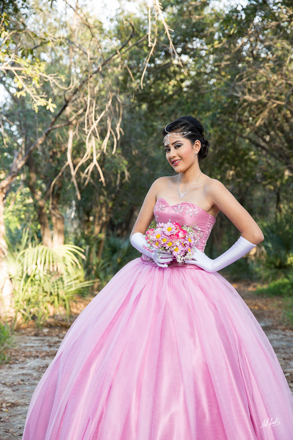 Alfred&#39;s PhotoLive - 2082