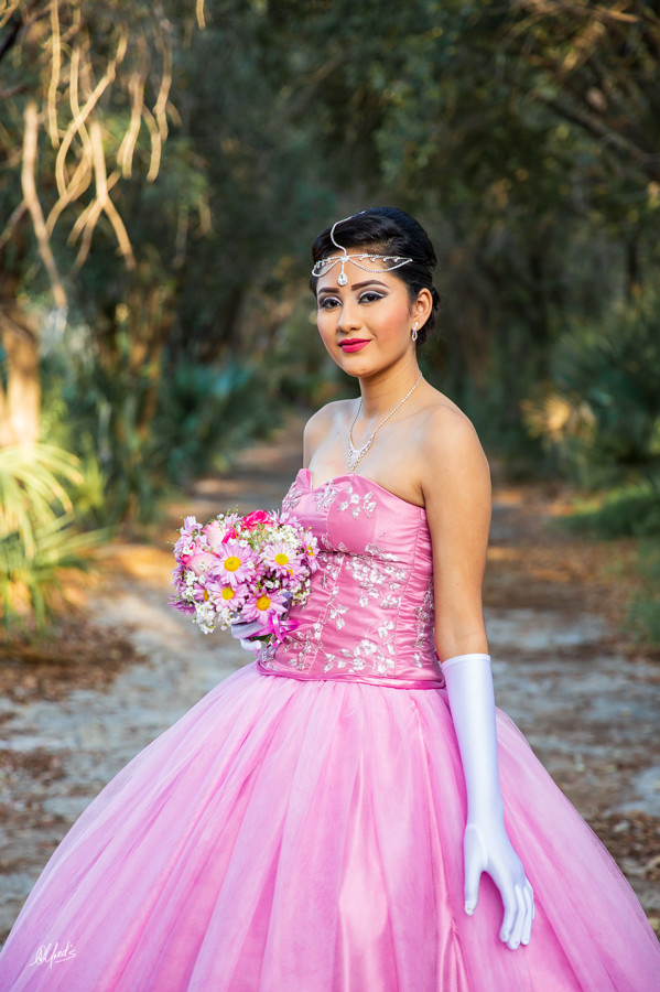 Alfred&#39;s PhotoLive - 2090