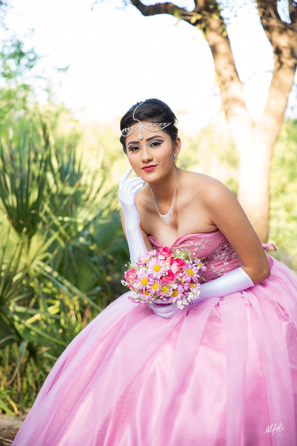 Alfred&#39;s PhotoLive - 2126