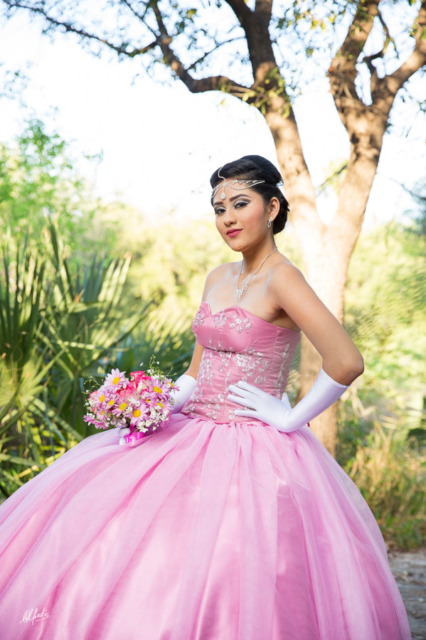 Alfred&#39;s PhotoLive - 2130