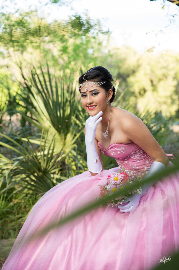 Alfred&#39;s PhotoLive - 2136