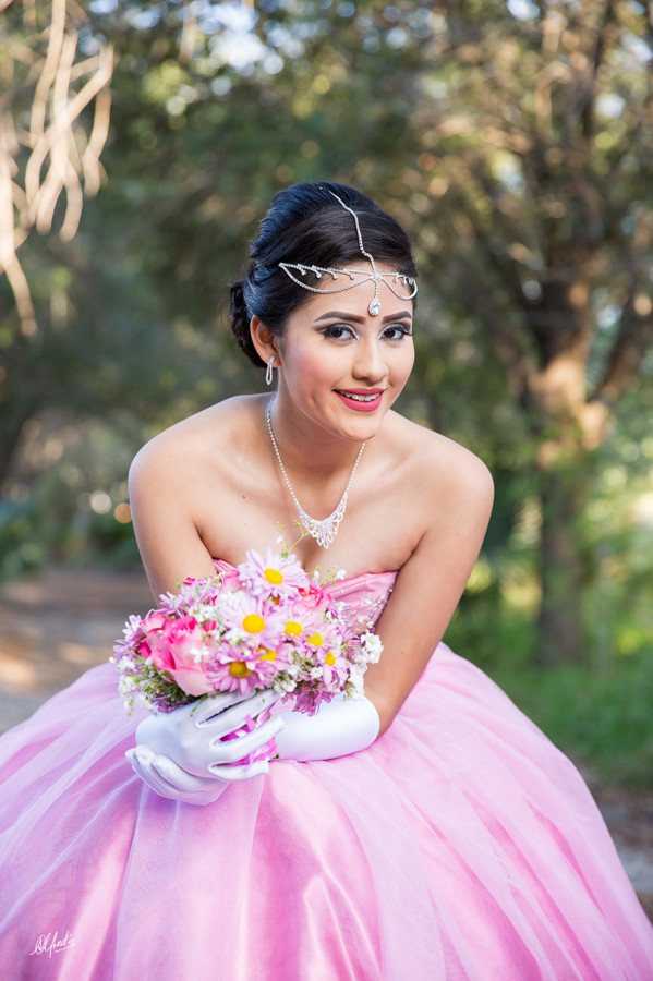 Alfred&#39;s PhotoLive - 2148