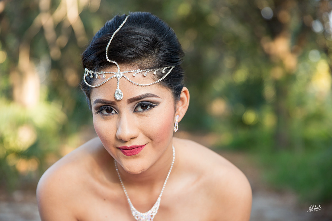 Alfred&#39;s PhotoLive - 2153