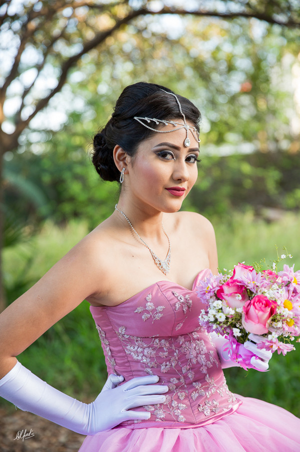 Alfred&#39;s PhotoLive - 2193