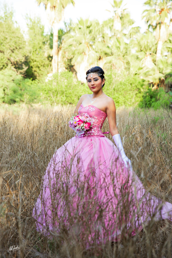 Alfred&#39;s PhotoLive - 2214