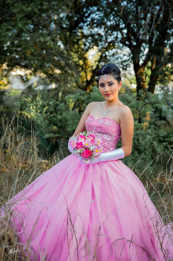 Alfred&#39;s PhotoLive - 2240