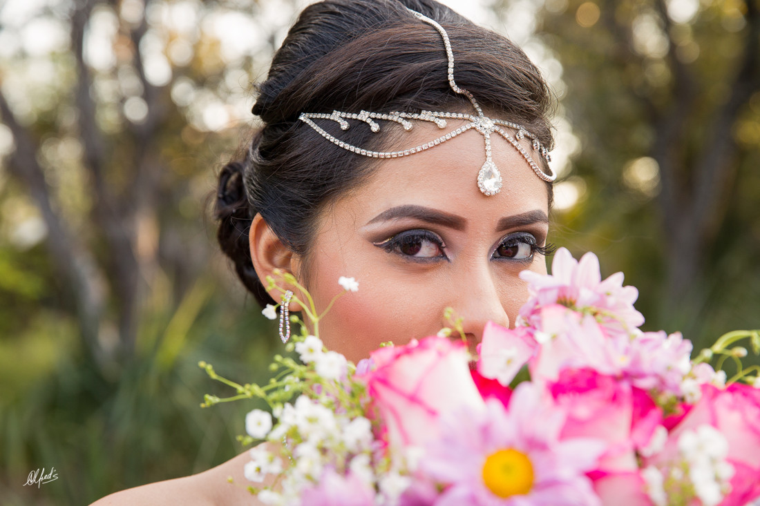 Alfred&#39;s PhotoLive - 2279