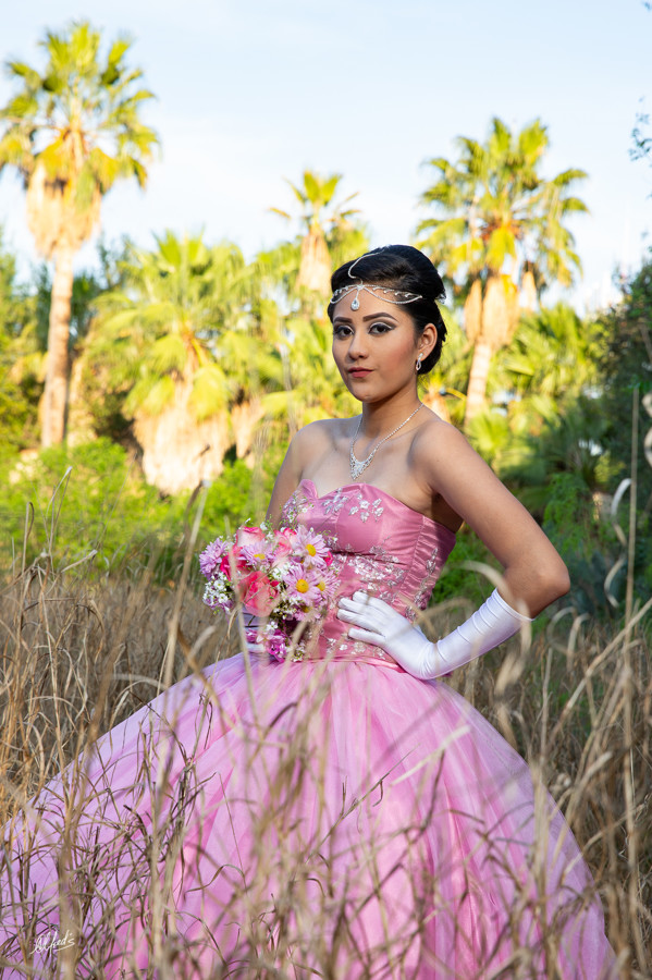 Alfred&#39;s PhotoLive - 2308