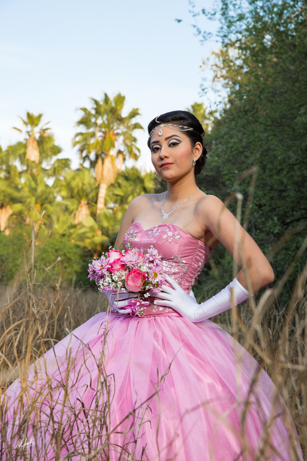 Alfred&#39;s PhotoLive - 2314