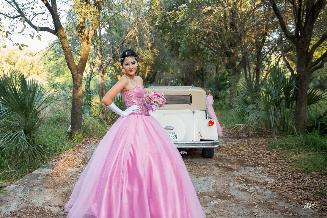 Alfred&#39;s PhotoLive - 2359