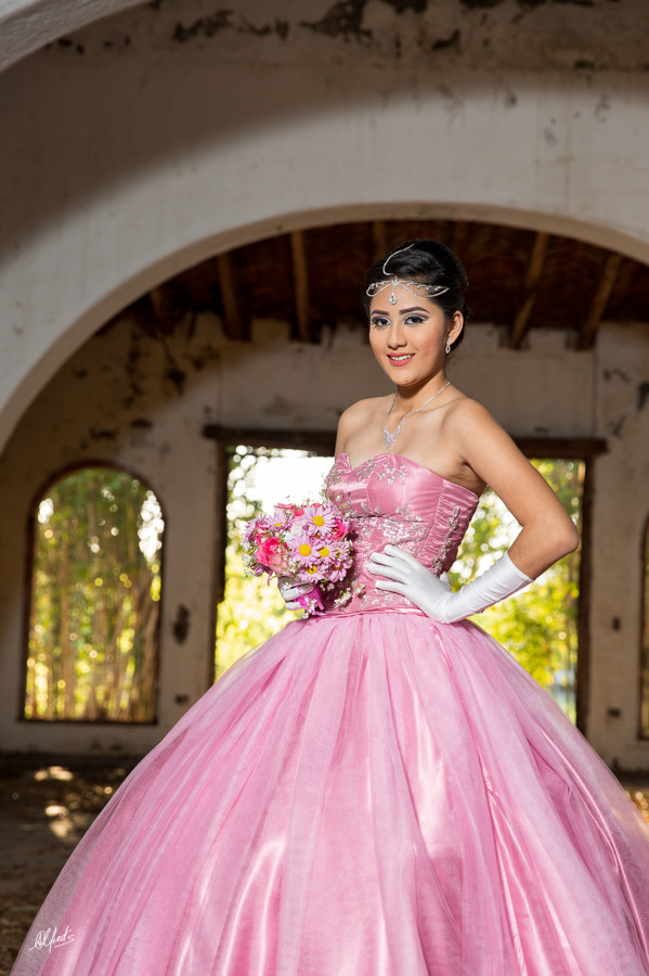 Alfred&#39;s PhotoLive - 2374