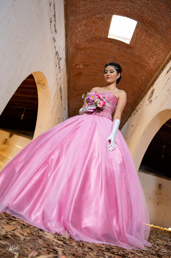 Alfred&#39;s PhotoLive - 2455