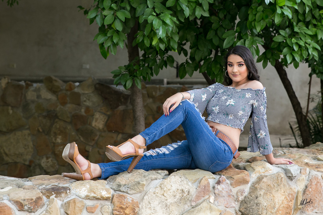 Alfred&#39;s PhotoLive - 5007