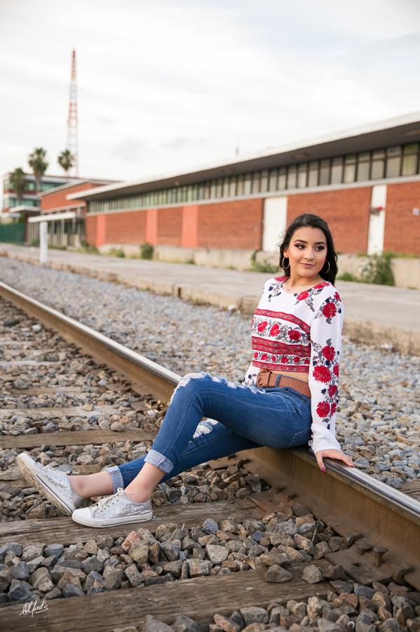 Alfred&#39;s PhotoLive - 5603