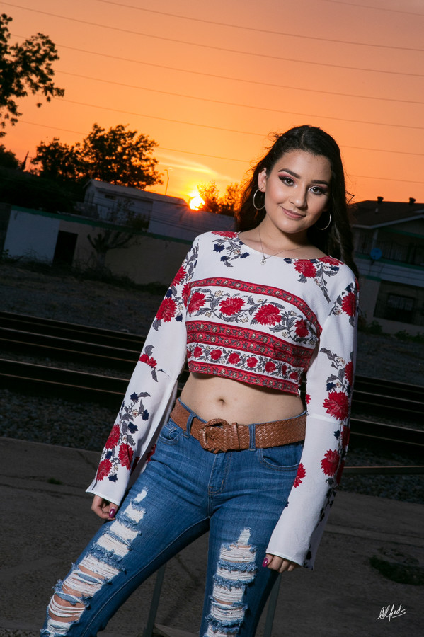 Alfred&#39;s PhotoLive - 5759