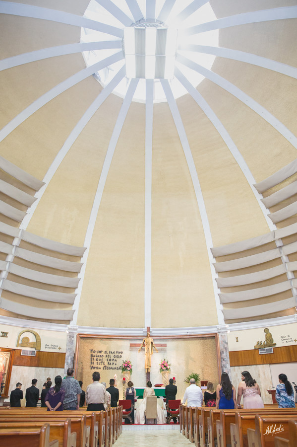 Alfred&#39;s PhotoLive - 6720