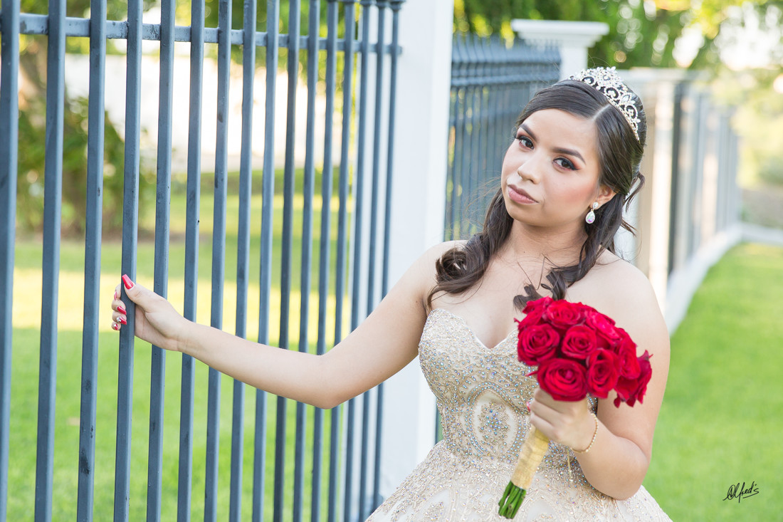 Alfred&#39;s PhotoLive - 6753