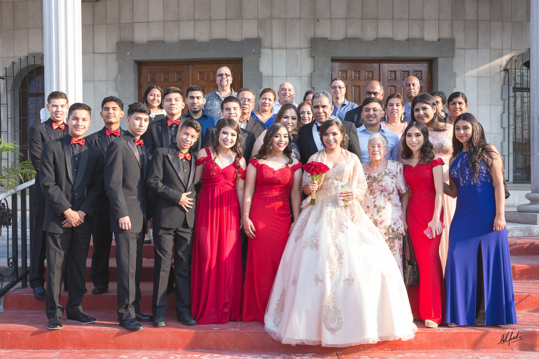 Alfred&#39;s PhotoLive - 6799