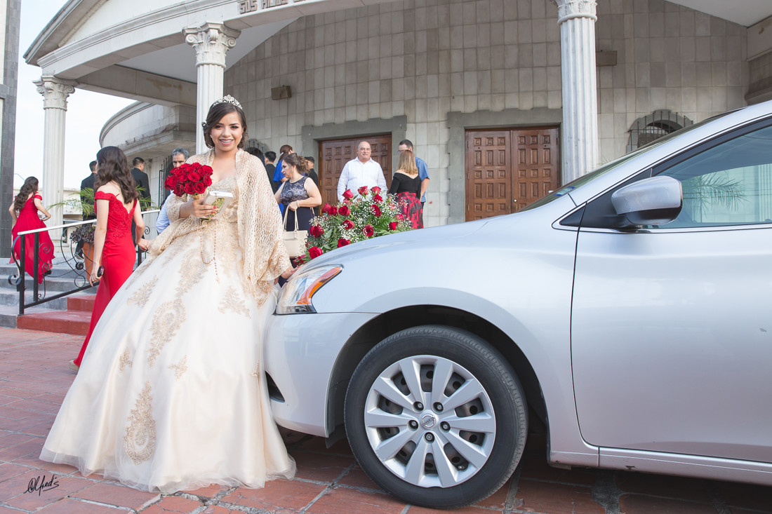 Alfred&#39;s PhotoLive - 6812