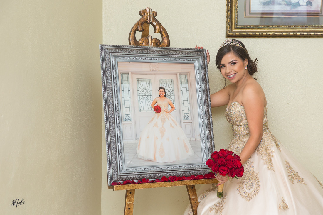 Alfred&#39;s PhotoLive - 6859