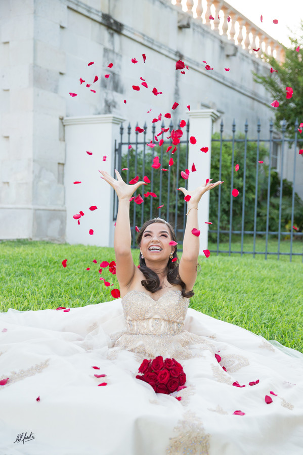 Alfred&#39;s PhotoLive - 6941