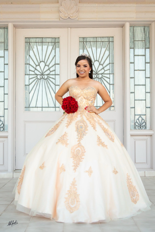 Alfred&#39;s PhotoLive - 7151