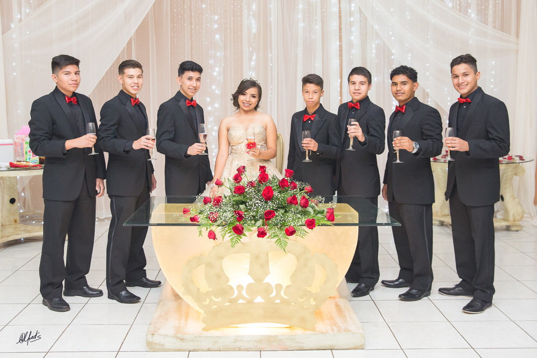 Alfred&#39;s PhotoLive - 7306