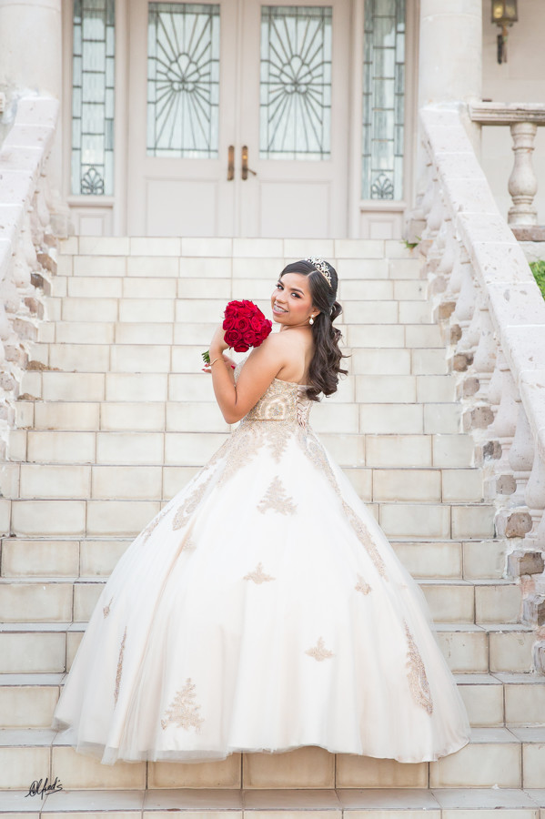 Alfred&#39;s PhotoLive - 7321