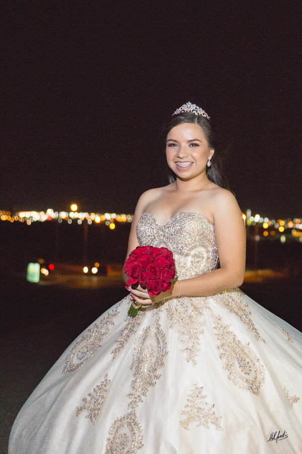 Alfred&#39;s PhotoLive - 7487