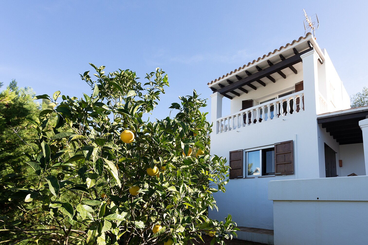 Casa Es Figueral fotografosibiza-3