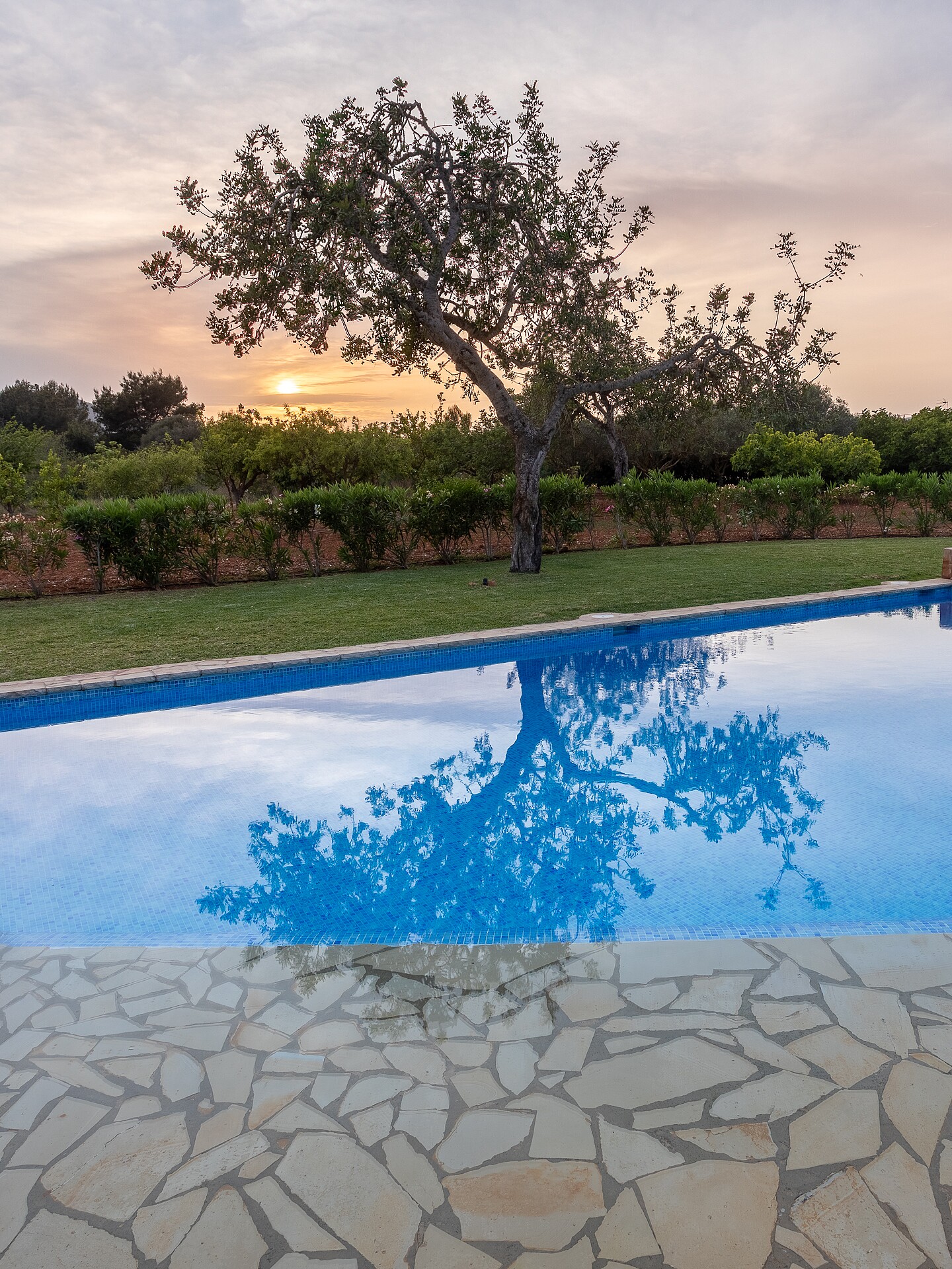 Casa Rosita noche WEB-2