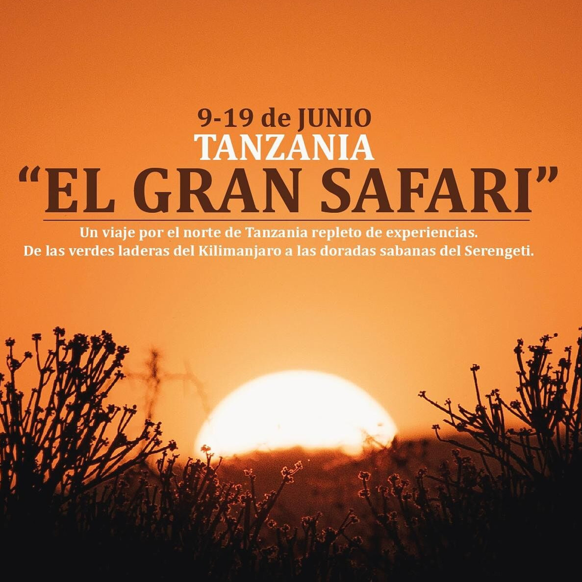 Endika Larrazabal / Larraend Fotografía - whatsapp-image-2025-12-22-at-12-08-18-2-ts20260212183321207115.jpeg