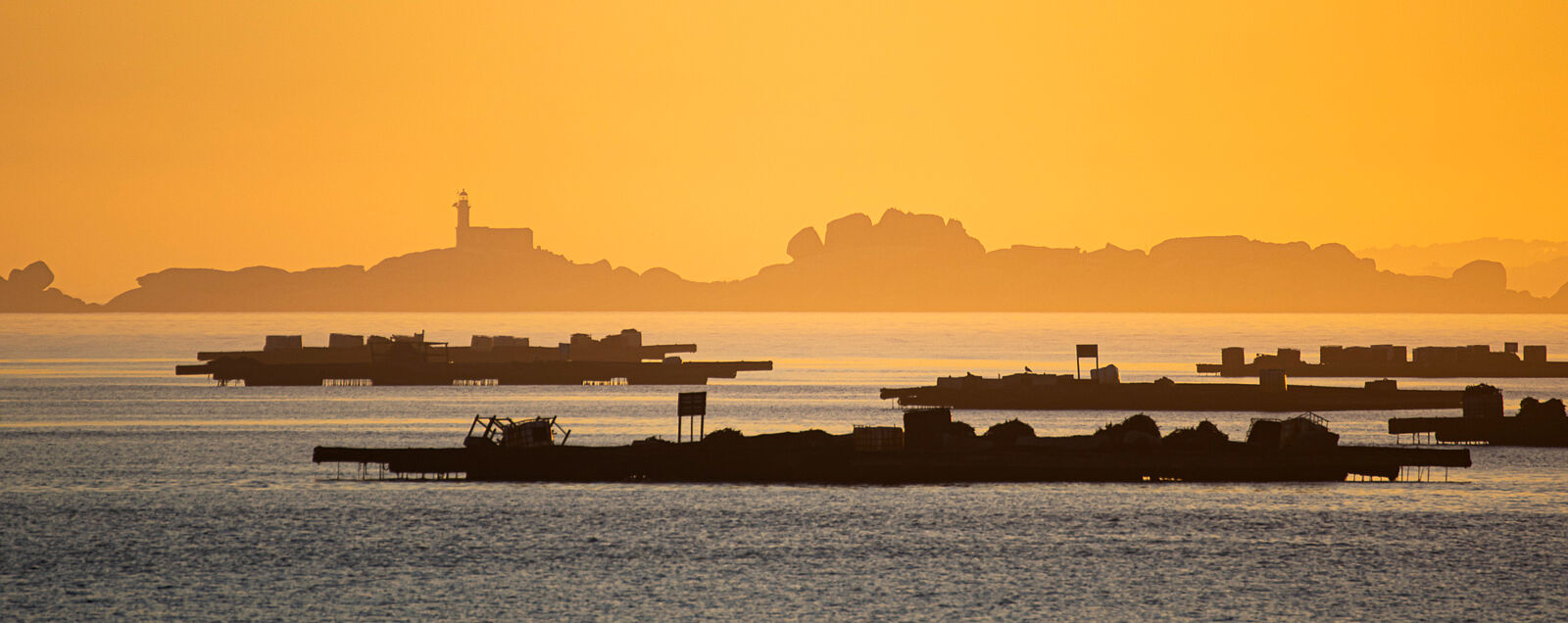 Juan Carlos Asorey fotografía - panoramica-bateas-ria-de-arousajpg-ts20250618144112901159.jpg
