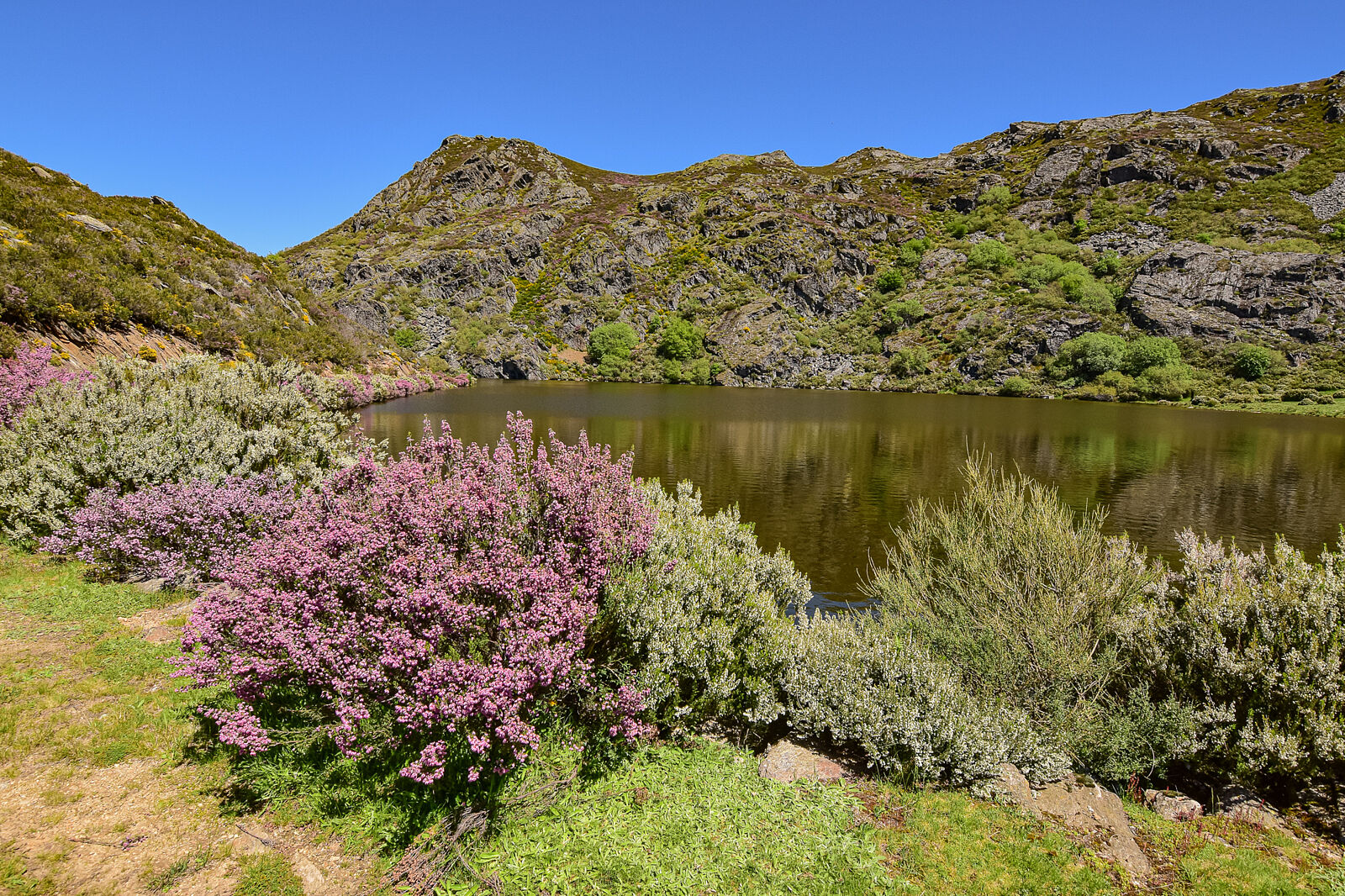 Juan Carlos Asorey fotografía - pena_trevinca15-ts20250820184636649388.jpg