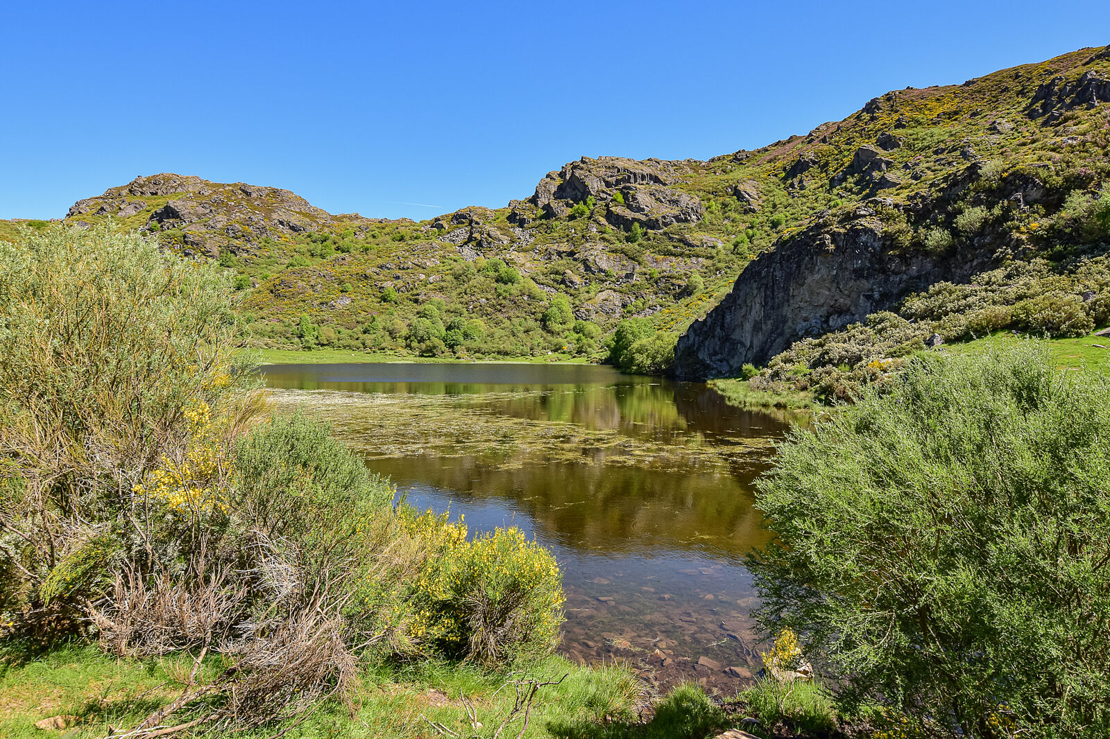 Juan Carlos Asorey fotografía - pena_trevinca19-ts20250820184847588973.jpg